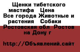 Щенки тибетского мастифа › Цена ­ 80 - Все города Животные и растения » Собаки   . Ростовская обл.,Ростов-на-Дону г.